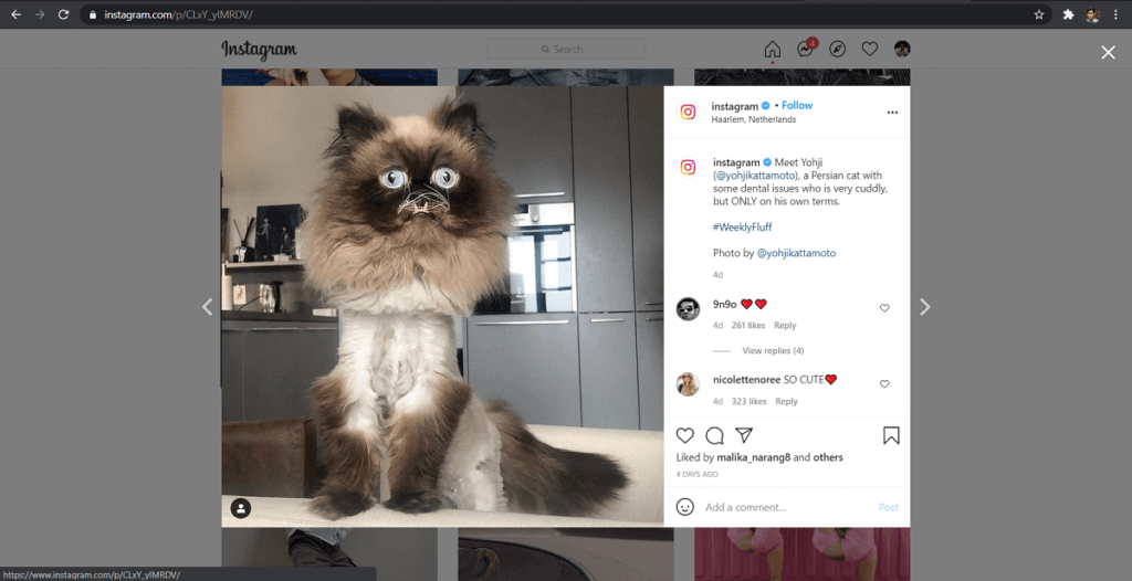 Select-the-image-you-want-to-view-in-high-resolution.-1024x526-1 كيفية عرض صور Instagram بالحجم الكامل