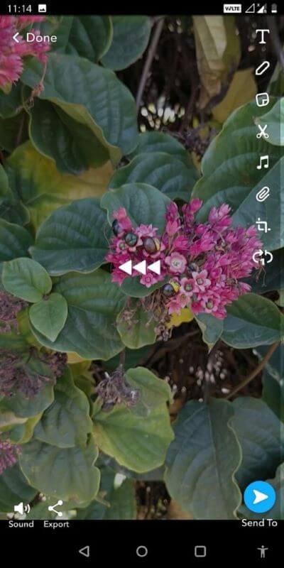 Keep-swiping-left-until-you-see-the-reverse-filter-with-the-three-arrows-pointing-in-the-left-512x1024-1 كيفية عكس مقطع فيديو على Snapchat على Android
