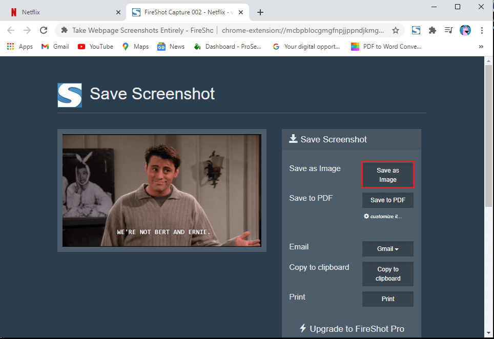 click-on-Save-as-image-to-save-the-screenshot-on-your-system. كيف تأخذ لقطة شاشة على Netflix