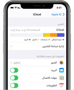 ios14-iphone-11-pro-settings-apple-id-icloud-storage-246x300 برنامج حذف الصور والفيديو المكررة للايفون مجانا 2021