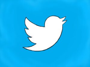 twitter-300x225 استعادة حساب تويتر اذا نسيت الباسورد والايميل