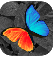 برنامج-Photowizard رابط تحميل برنامج تحويل الصور الى png للايفون