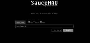 موقع-SauceNAO-300x142 طريقة البحث عن مصدر الصورة جوجل
