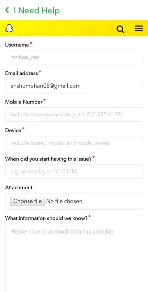 Fill-the-remaining-form-with-accurate-details-519x1024-1 كيف يتم التحقق على Snapchat؟