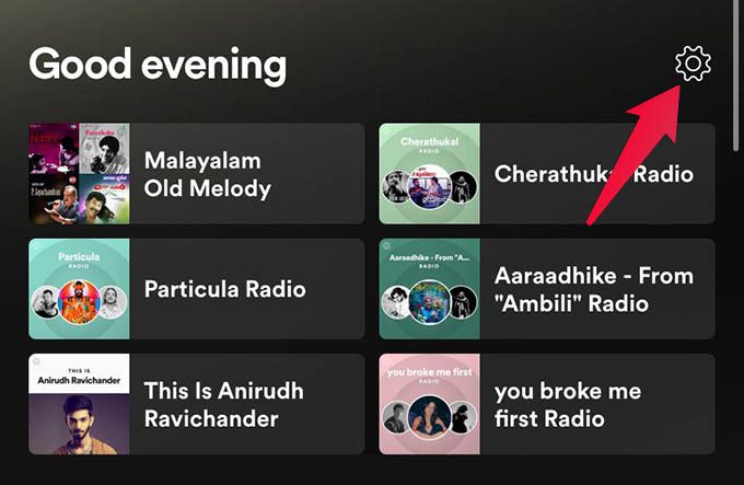 Open-Spotify-Settings كيفية إظهار أغنية على Spotify
