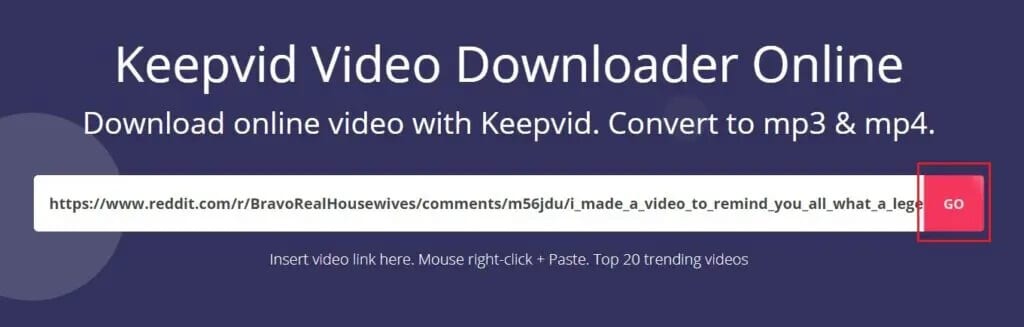 Paste-the-link-in-KEEPVid-and-click-on-Go-1024x327-1 كيفية تنزيل مقاطع فيديو Reddit بالصوت