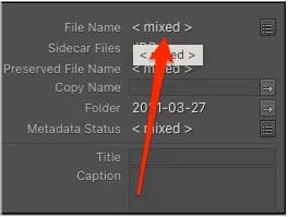 adobe_mixed_file_name_multiple_images-annotated_4d470f76dc99e18ad75087b1b8410ea9 كيفية إعادة تسمية الملفات دفعة واحدة في Adobe Lightroom