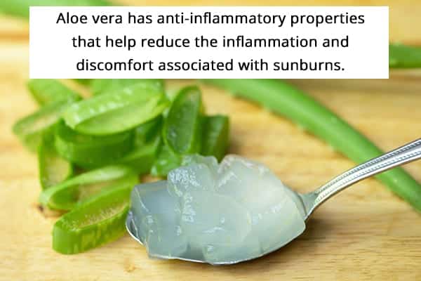 apply aloe vera gel 2 - 14 نصيحة لإدارة بثور حروق الشمس