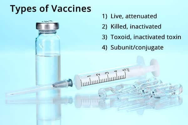 اللقاحات: أنواعها وفوائدها وآثارها الجانبية وتوصياتها - %categories