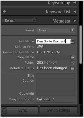 كيفية إعادة تسمية الملفات دفعة واحدة في Adobe Lightroom - %categories