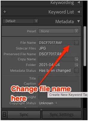 lightroom_unedited_rename_for_single_picture-annotated_4d470f76dc99e18ad75087b1b8410ea9 كيفية إعادة تسمية الملفات دفعة واحدة في Adobe Lightroom