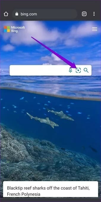 Bing-Home-Page_7c4a12eb7455b3a1ce1ef1cadcf29289 كيفية البحث العكسي عن الصور على الهاتف المحمول والكمبيوتر الشخصي