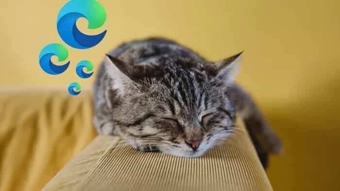 How-to-Enable-Sleeping-Tabs-in-Edge-and-Other-Tricks_935adec67b324b146ff212ec4c69054f-1 كيفية تمكين علامات تبويب النوم في Edge وغيرها من الحيل
