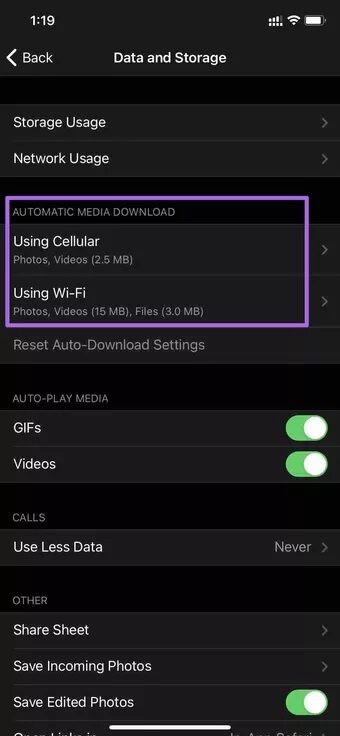 automatic media download on iPhone 7c4a12eb7455b3a1ce1ef1cadcf29289 - كيفية إيقاف الحفظ التلقائي للصور ومقاطع الفيديو على Telegram