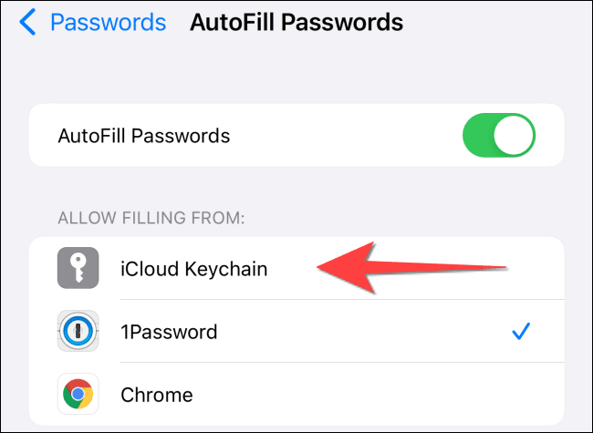 Tap-the-iClouds-Keychain-Option-to-Select-it كيفية استخدام أداة المصادقة الثنائية المضمنة على iPhone و iPad