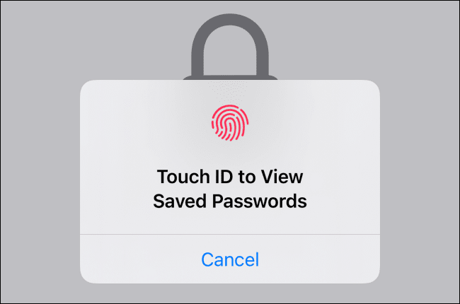 Use-face-id-or-touch-id-for-authenticating-to-vew-saved-passwords كيفية استخدام أداة المصادقة الثنائية المضمنة على iPhone و iPad