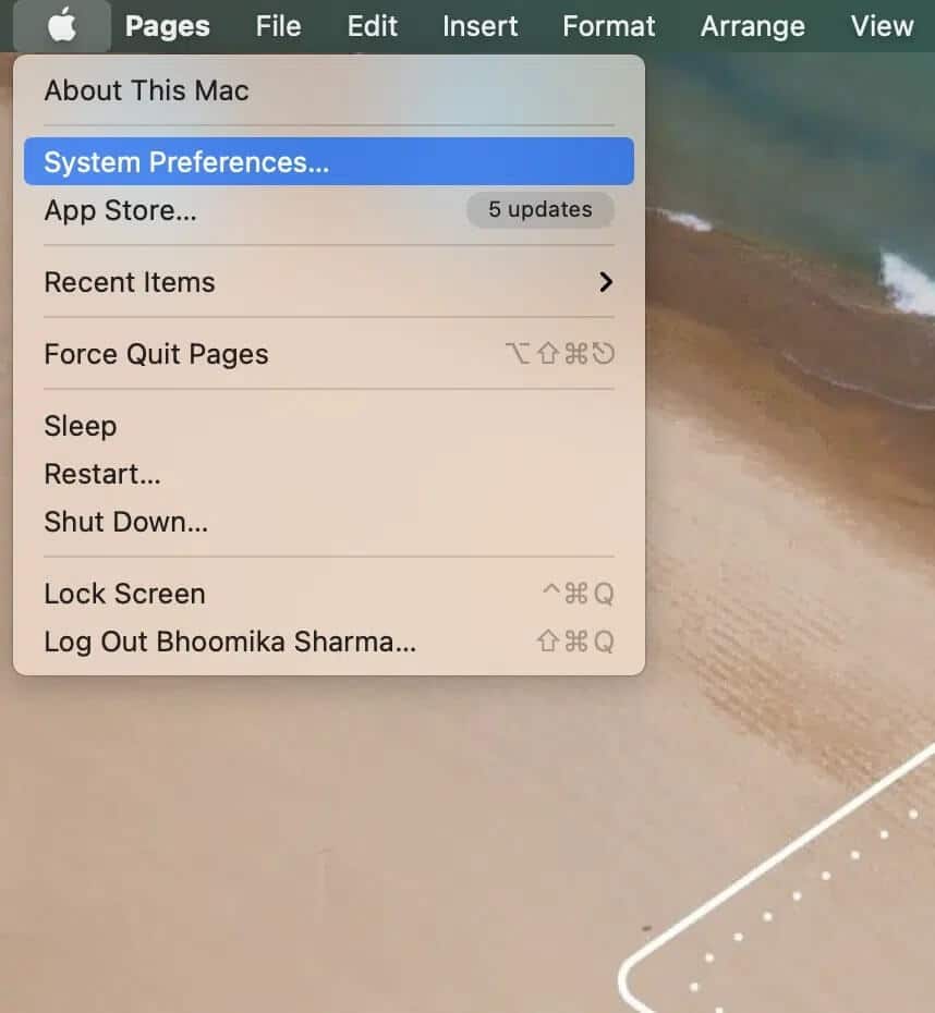 system-preferenecs إصلاح خطأ فشل تثبيت MacOS Big Sur