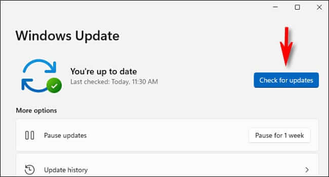win11_click_check_for_updates كيفية التحديث إلى Windows 11