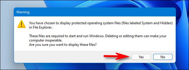 win11_yes_display_protected_files كيفية إظهار الملفات المخفية على Windows 11
