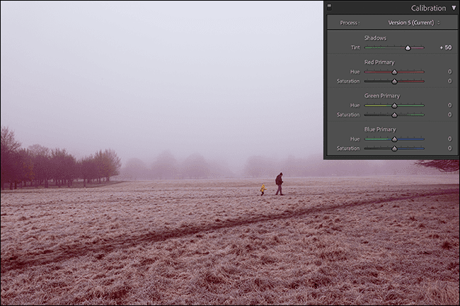 4-shadows ما هي المعايرة في Adobe Camera Raw و Lightroom؟