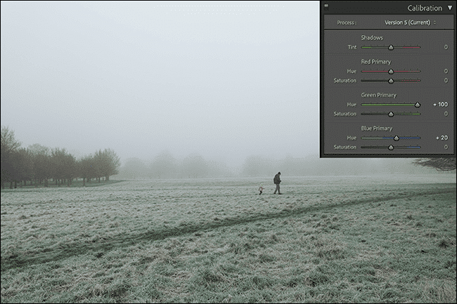 5-hue ما هي المعايرة في Adobe Camera Raw و Lightroom؟