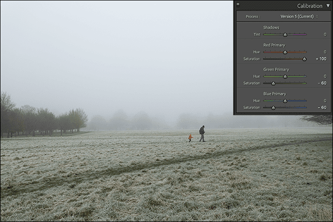 6-saturation ما هي المعايرة في Adobe Camera Raw و Lightroom؟