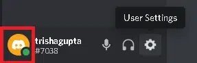 Avatar-at-bottom-left-corner إصلاح عدم عمل إشعارات Discord