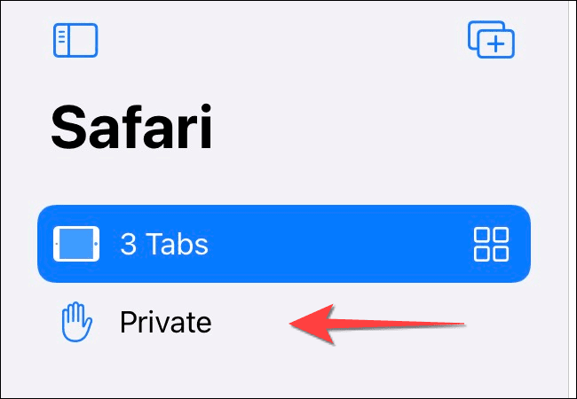 Tap-Private-Tab-Button-on-Sidebar-on-iPad 4 طرق لاستخدام التصفح الخاص في Safari على iPhone و iPad