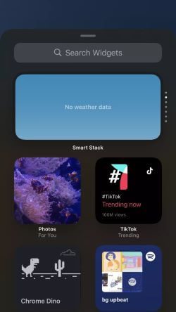 iPhone-Home-Screen-Adding-Options_935adec67b324b146ff212ec4c69054f كيفية اختيار صور محددة للويدجت و أدوات الذكية مع iOS