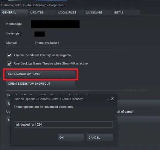 in-the-general-tab-click-set-launch-options كيفية فتح ألعاب Steam في وضع النافذة