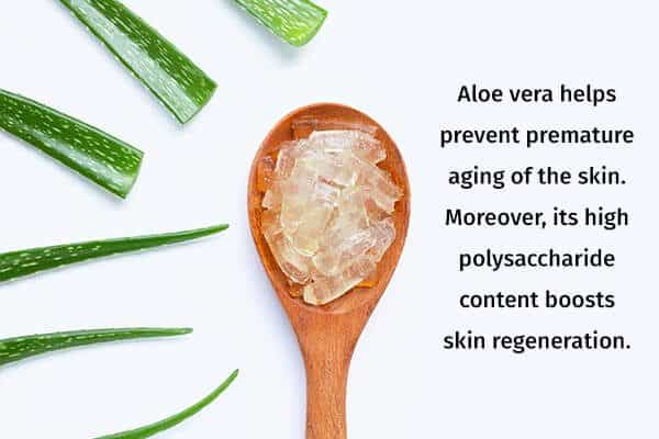 7 علاجات منزلية لتجاعيد اليدين وكيفية استخدامها - skin-beauty massage with aloe vera to fade hands wrinkle - 7 علاجات منزلية لتجاعيد اليدين وكيفية استخدامها