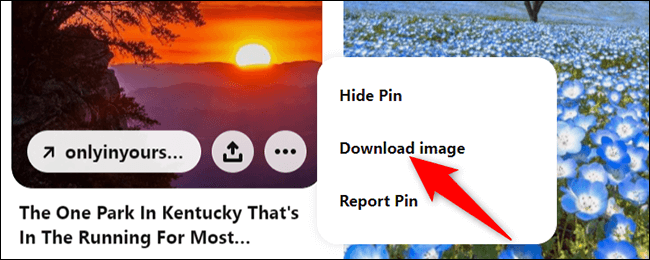 5-pinterest-download-image كيفية تحميل الصور من موقع Pinterest
