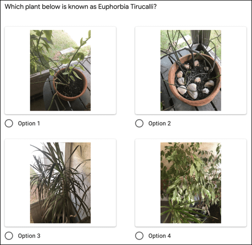 PreviewMultipleChoice-GoogleFormsImageQuestions كيفية إضافة الصور إلى الأسئلة في Google Forms