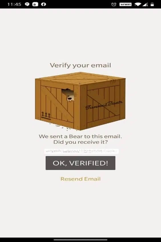 You-will-get-a-screen-that-will-ask-you-to-verify-your-email كيفية الوصول إلى المواقع المحظورة على Android