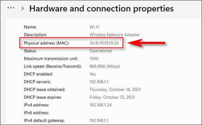 hardware_properties_results كيفية البحث عن عنوان MAC الخاص بك على Windows 10 أو 11