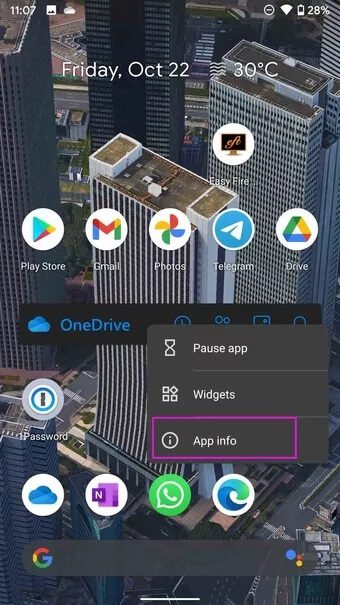 open-app-info-menu_7c4a12eb7455b3a1ce1ef1cadcf29289 أفضل 9 طرق لإصلاح عدم اتصال WhatsApp على Android