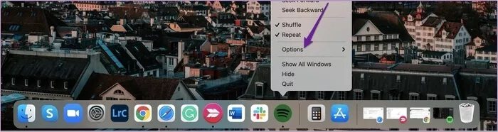 options-dock_935adec67b324b146ff212ec4c69054f أفضل 4 طرق لإصلاح التطبيقات التي لا تستجيب على جهاز Mac