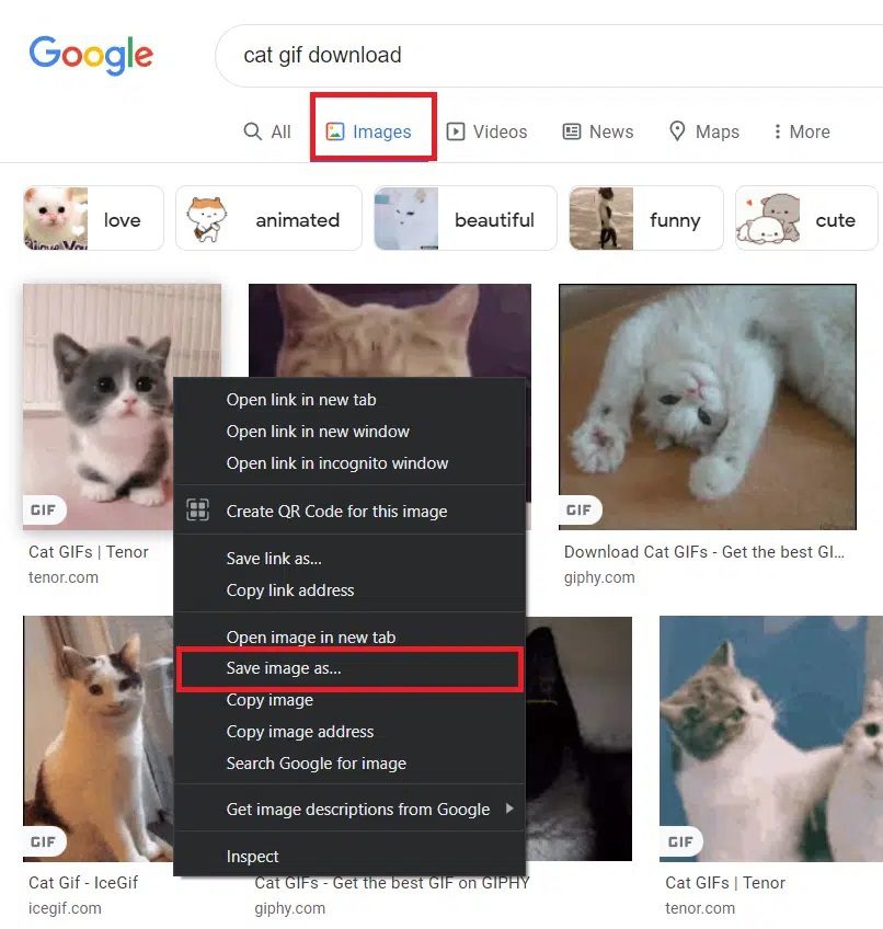 select-save-image-as...-option- كيفية تحميل GIF من GIPHY