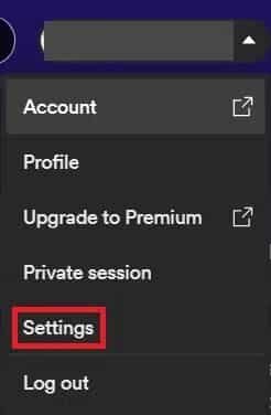 settings-option-in-spotify-app-spotify-wont-open إصلاح عدم فتح Spotify على Windows 10