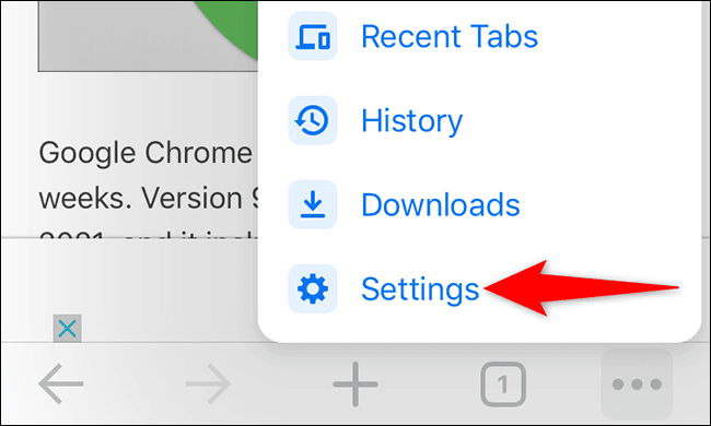 10-chrome-iphone-settings كيفية تعطيل اقتراحات البحث في شريط العناوين في Google Chrome