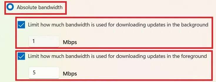 absolute-bandwidth-options-in-delivery-optimizatio-735x279 كيفية زيادة سرعة الإنترنت في Windows 11