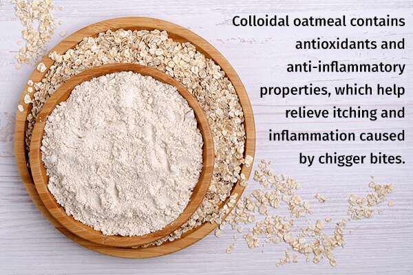 colloidal oatmeal help to treat chigger bites 600x400 - 3 علاجات منزلية للدغات القذان و 5 نصائح للعناية الذاتية