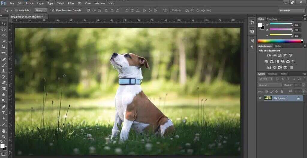 open-cmyk-mode-image-using-the-steps-given-above-1024x527-1-1024x527 كيفية تحويل Photoshop إلى RGB