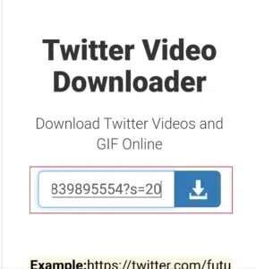paste-the-gif-tweet-link-in-twdownload-website-286x300-1-286x300 كيفية حفظ GIF من Twitter على Android