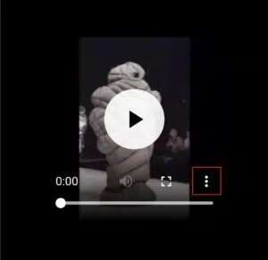 tap-on-three-dots-icon-in-the-video-300x291-1-300x291 كيفية حفظ GIF من Twitter على Android
