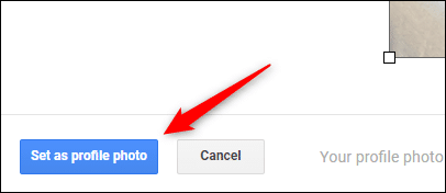 Click-the-Set-as-Profile-Photo-button. كيفية تغيير صورة ملف تعريف Google الخاص بك
