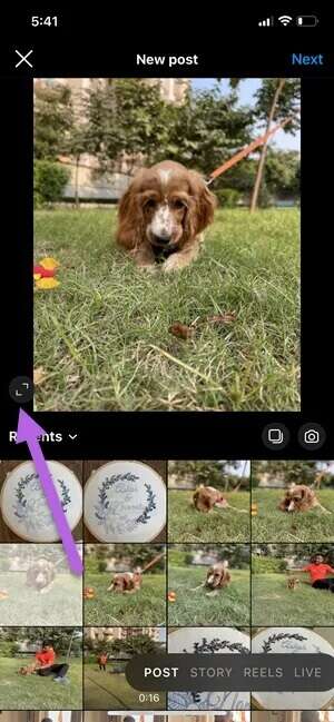 How-to-Add-Multiple-Photos-to-Instagram-Post-or-Story-14_935adec67b324b146ff212ec4c69054f-300x649 كيفية إضافة صور متعددة إلى منشور وقصة Instagram