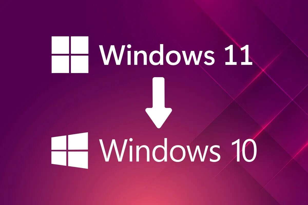 كيفية الرجوع إلى إصدار أقدم من Windows 11 إلى Windows 10 - %categories