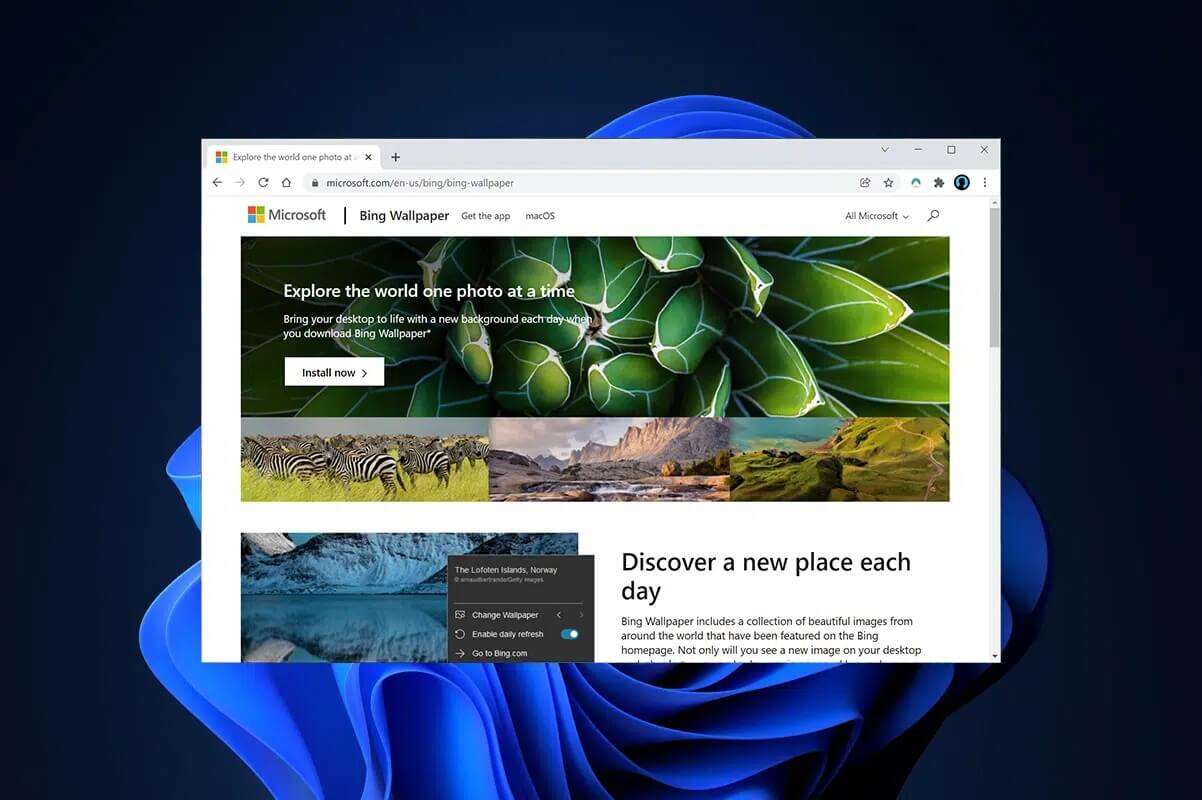 كيفية تنزيل Bing Wallpaper في Windows 11 - %categories