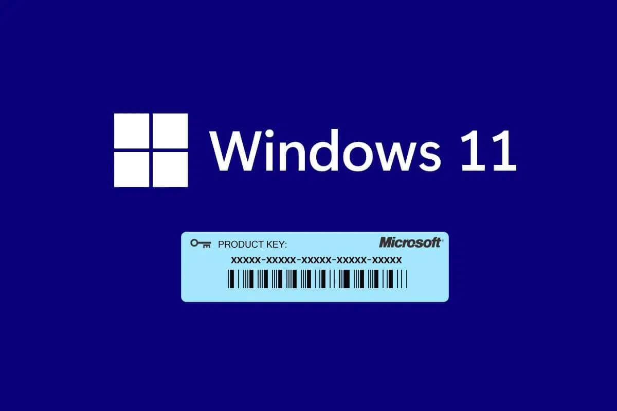 Comment Trouver Une Clé De Produit Windows 11 La Meilleure Maison